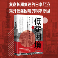 巴勒莫老板解释球队低迷原因，备战困境